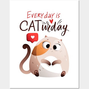 everyday is cat Posters and Art